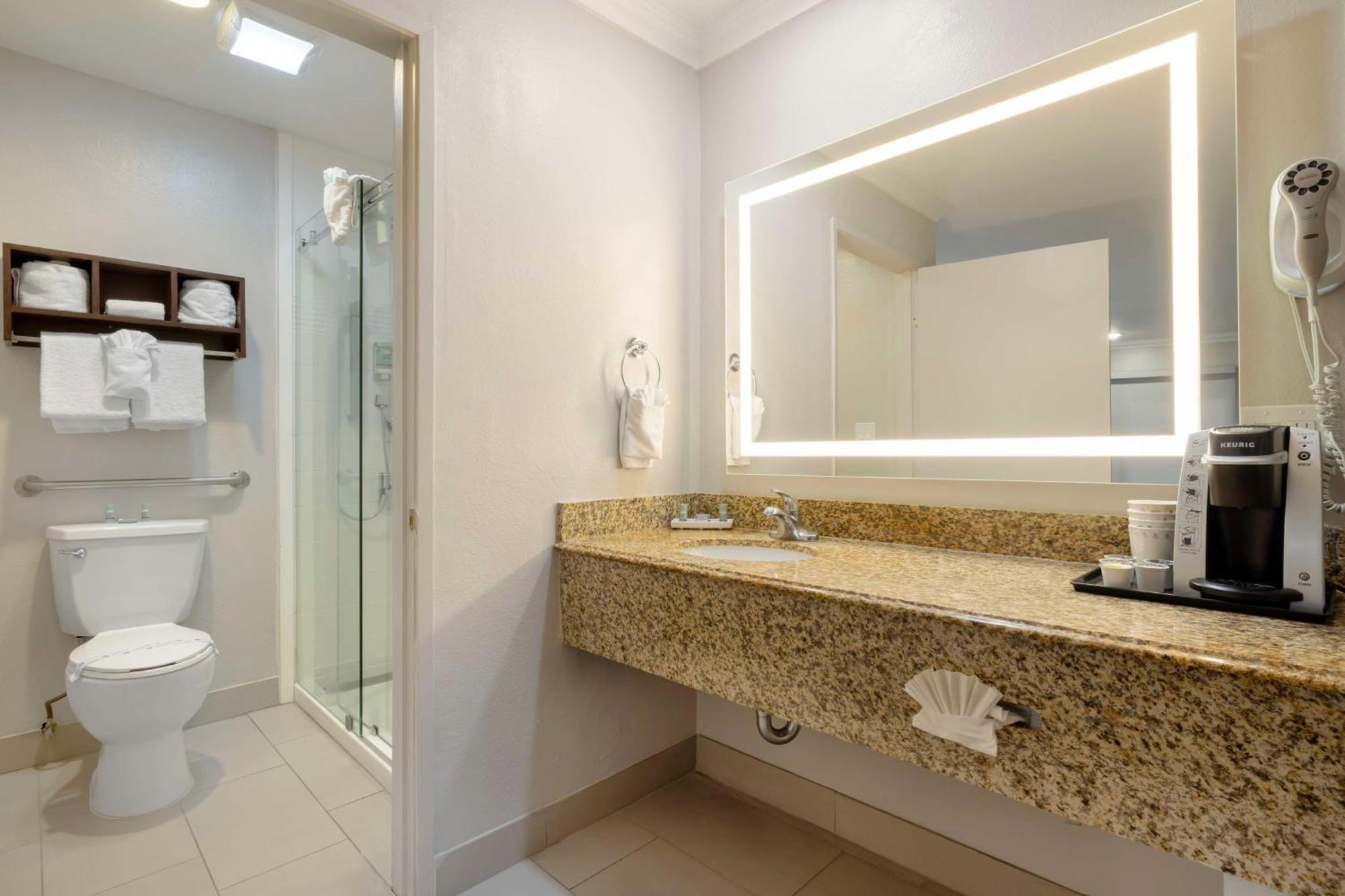 Best Western Courtesy Inn Hotel - Anaheim Resort At The Park Экстерьер фото